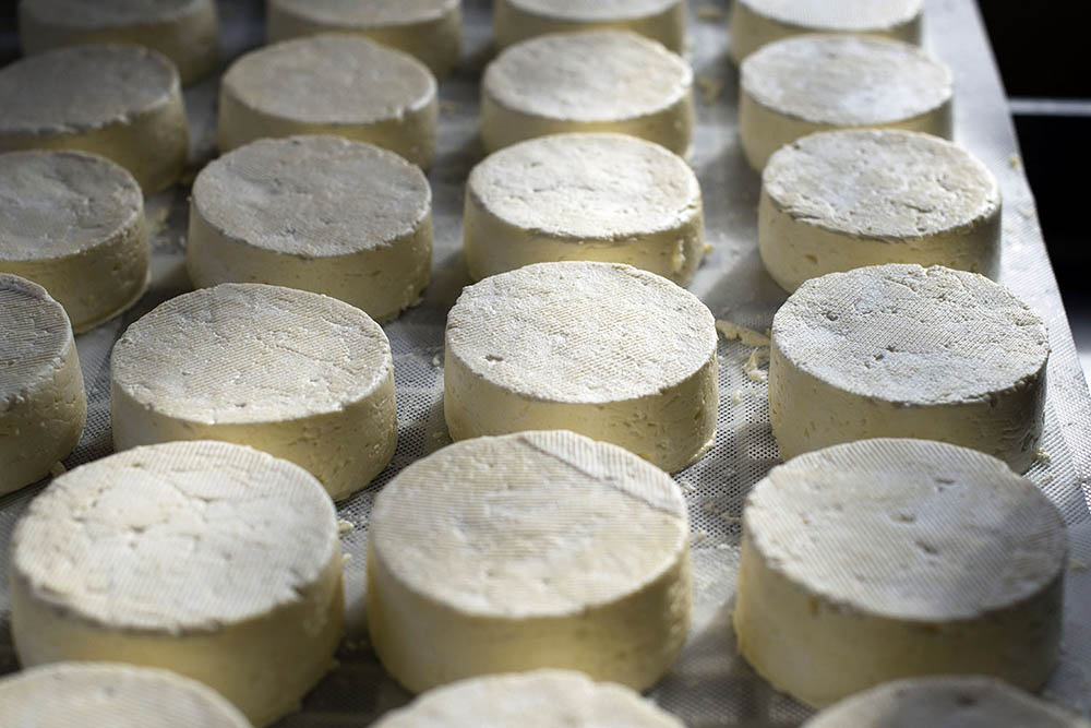 Fromages-Ardèche-marché